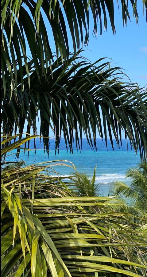 Spring Garden Mobay Resort Montego Bay Esterno foto