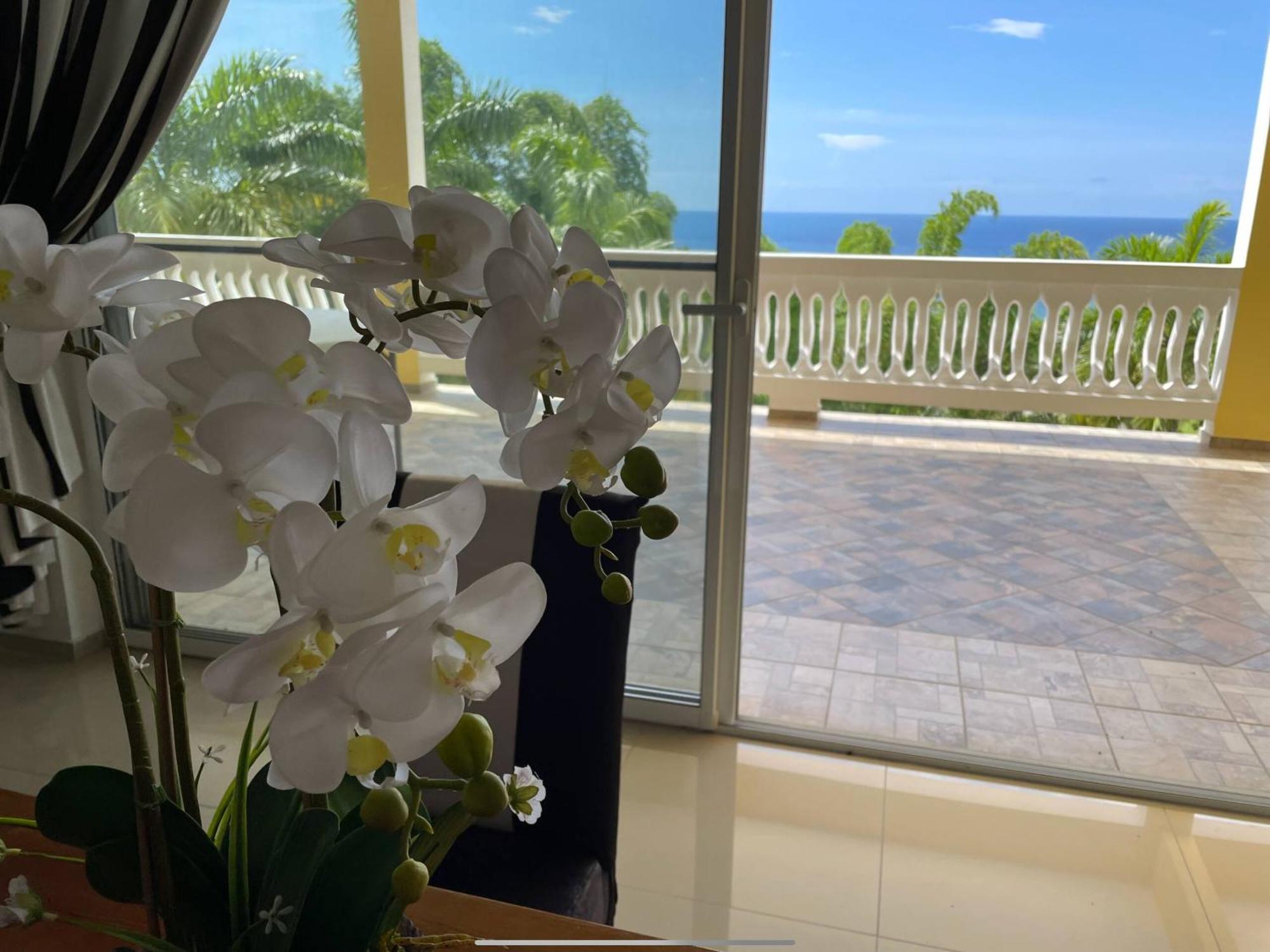 Spring Garden Mobay Resort Montego Bay Esterno foto